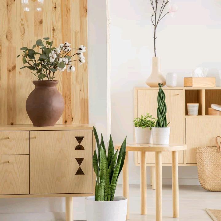 向往远方，懂你