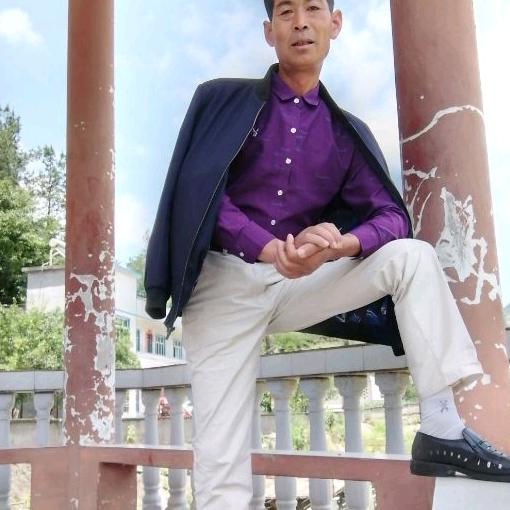 你若安好便是情天