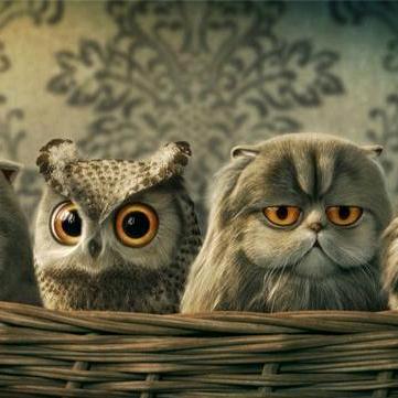 a(ಥ_ಥ)a几个达不劉