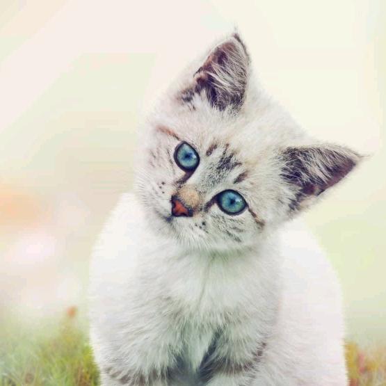 随性衣族～觅恋