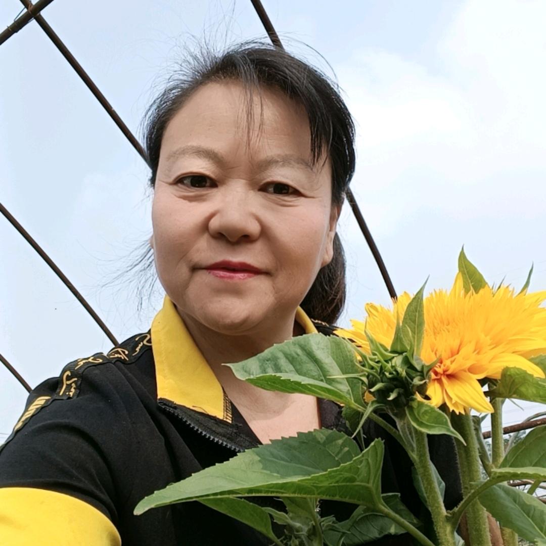 七色花婚庆鲜花店