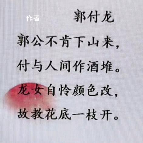@小阿龙