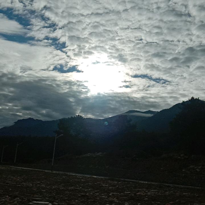 王定江