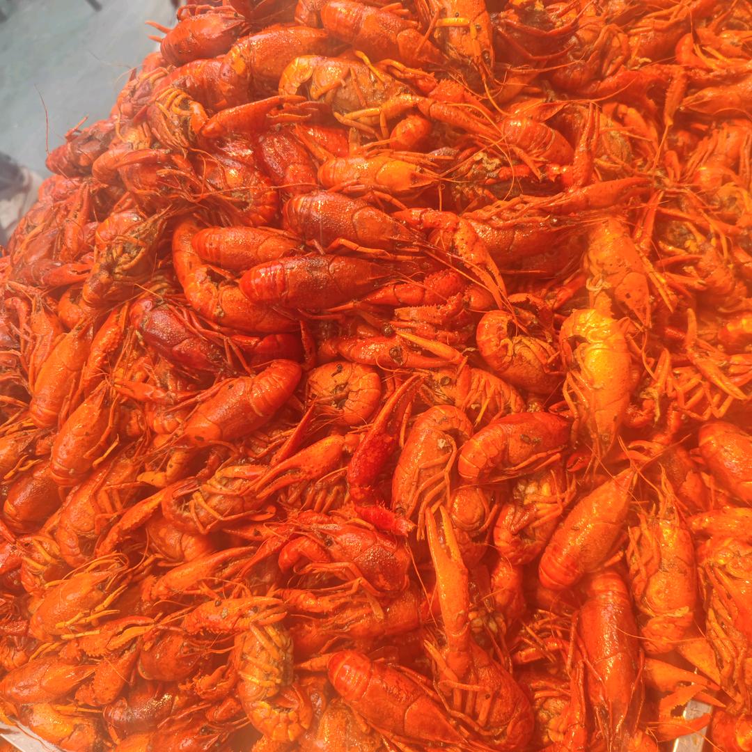 五一夜市🦐虾闹