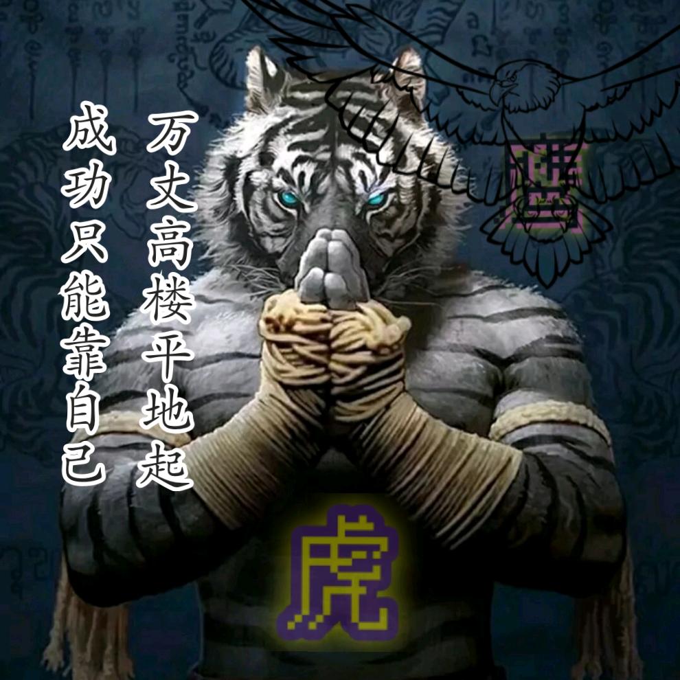 鹰虎格斗家饰品