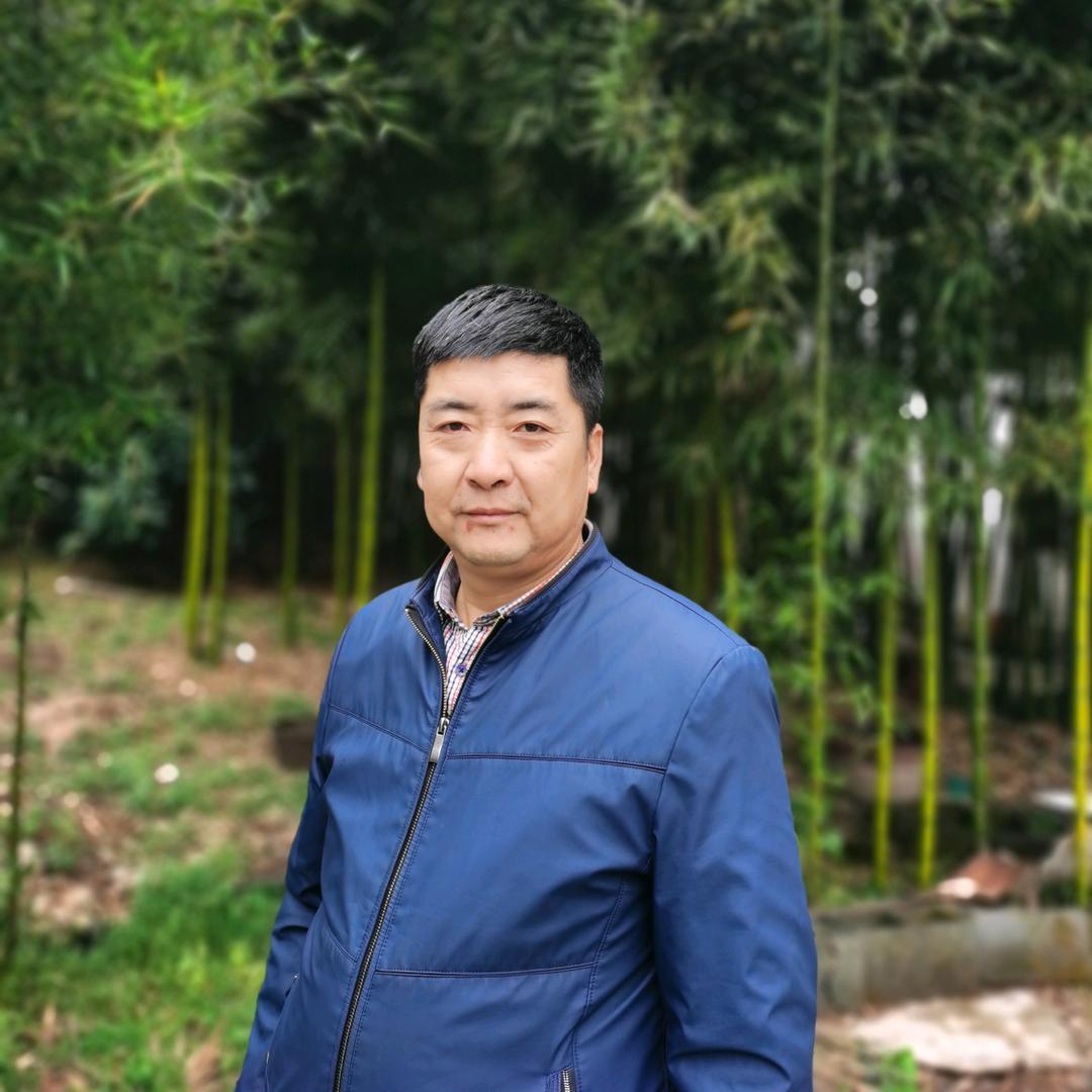 老宋养土鸡（武康）