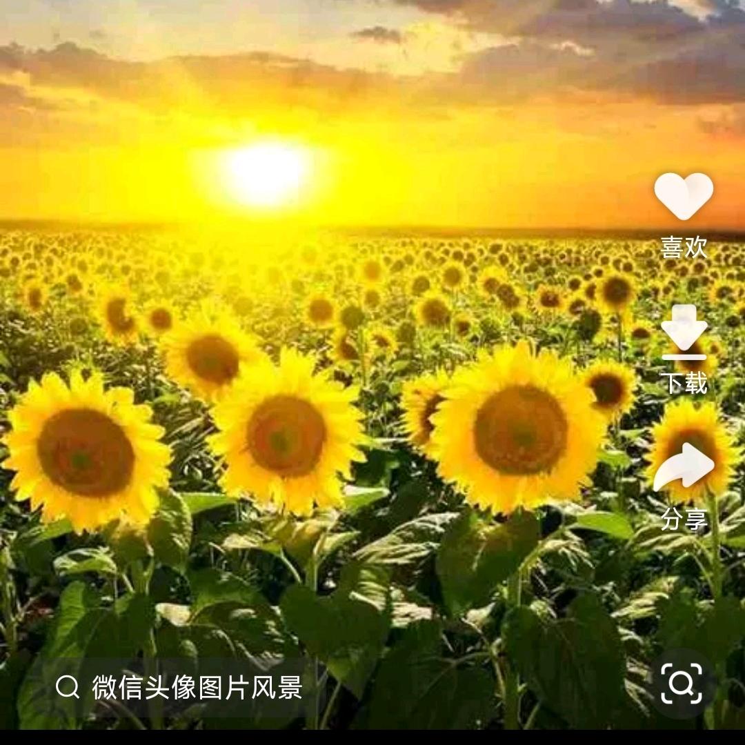 道道道