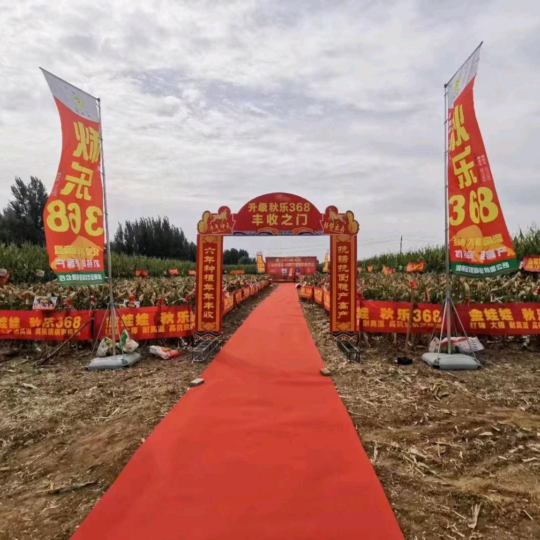 深州市双沣种业