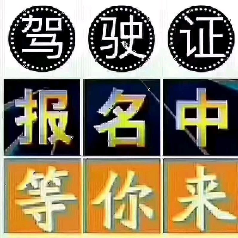 金教练。学车找我。随到随学