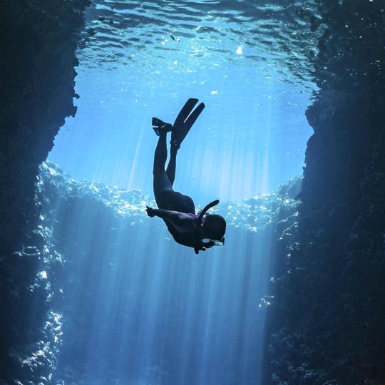 ♉静默如荼(tú)🇨🇳🌊