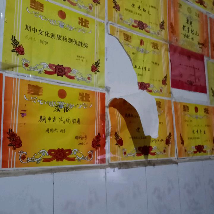 锦锦和顺顺