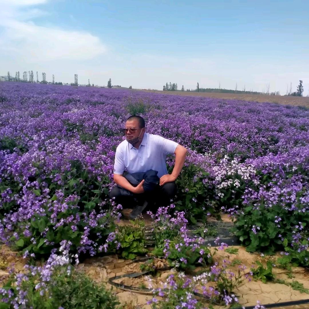 新疆昌吉🐮马林