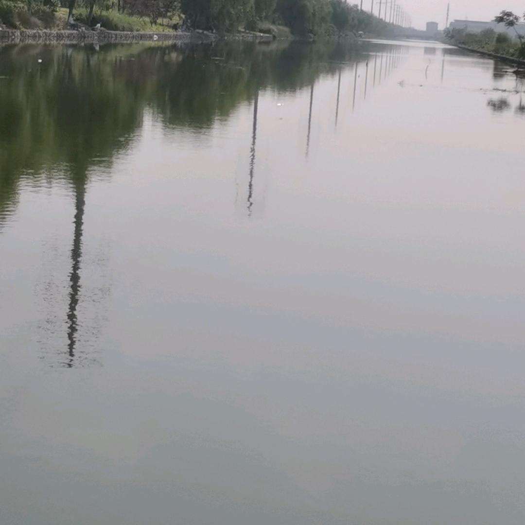 大司南