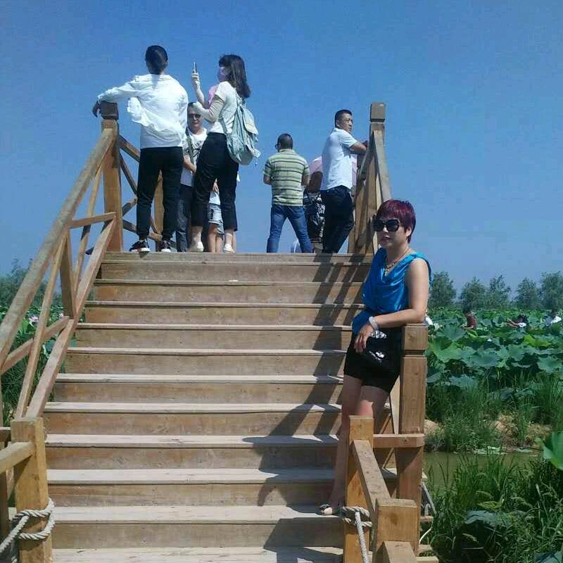 慧智兰心