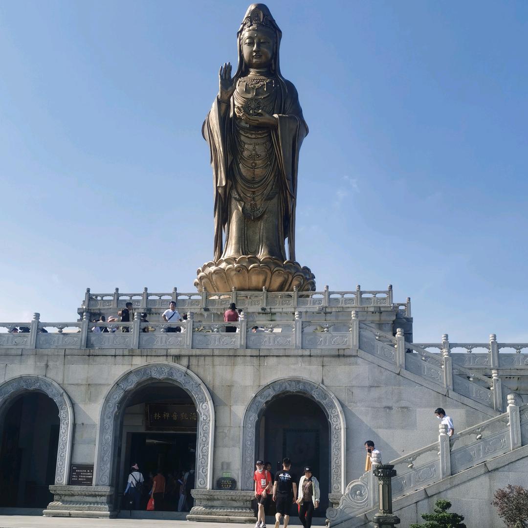 阳光灿烂💫