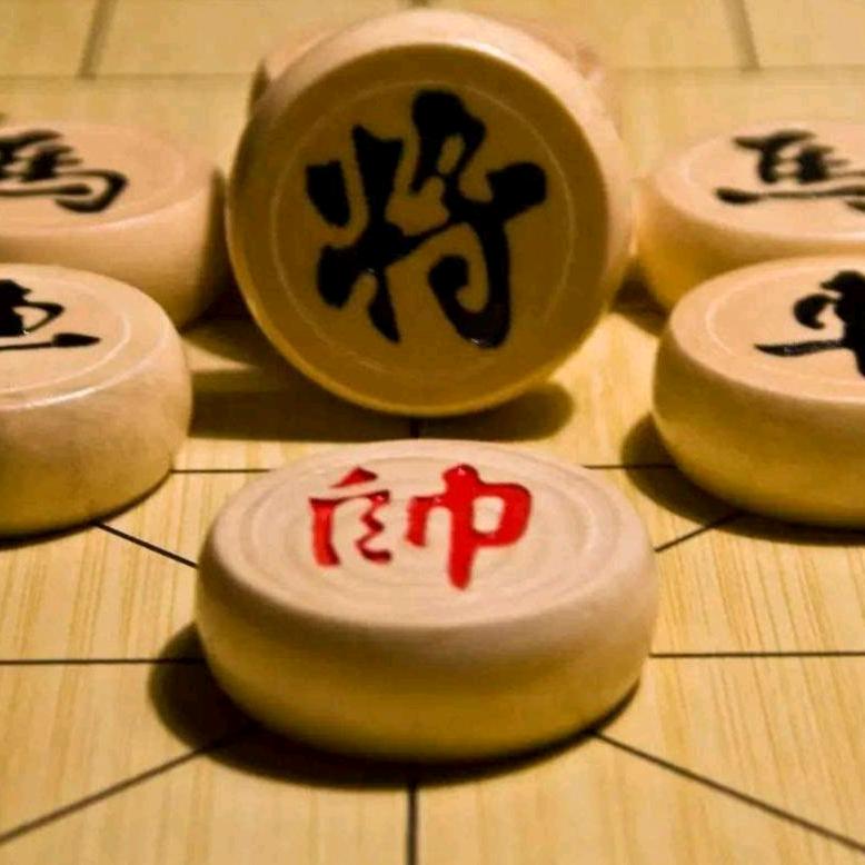 集安市龙发信息咨询服务有限公司~元宝