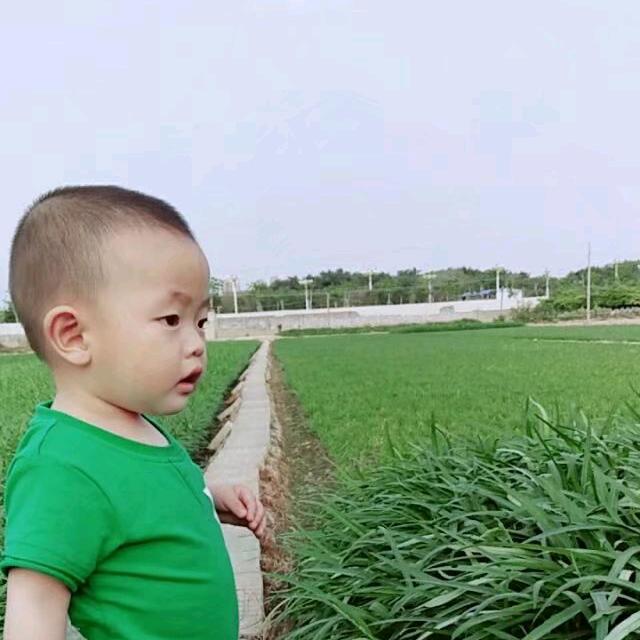 浪费表情