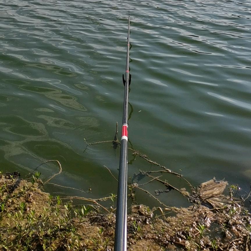 菜篮子火锅平桥金科店（带徒）