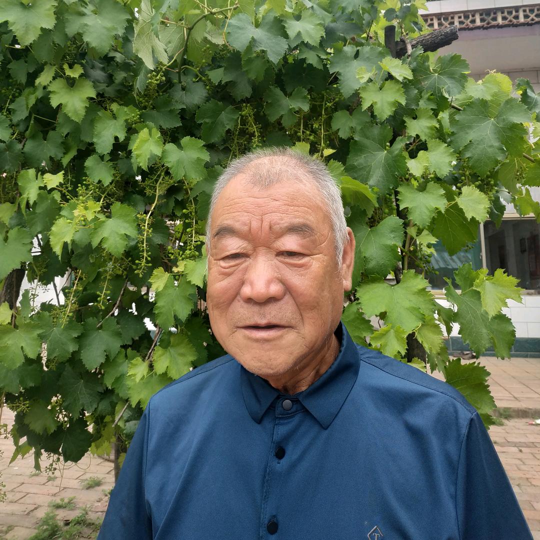 旧语新声