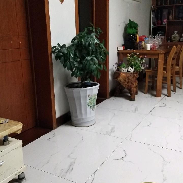 平安(ღ˘⌣˘ღ)