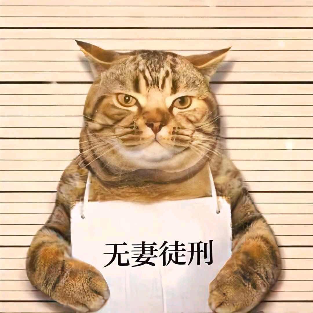 云至淮北未有雨