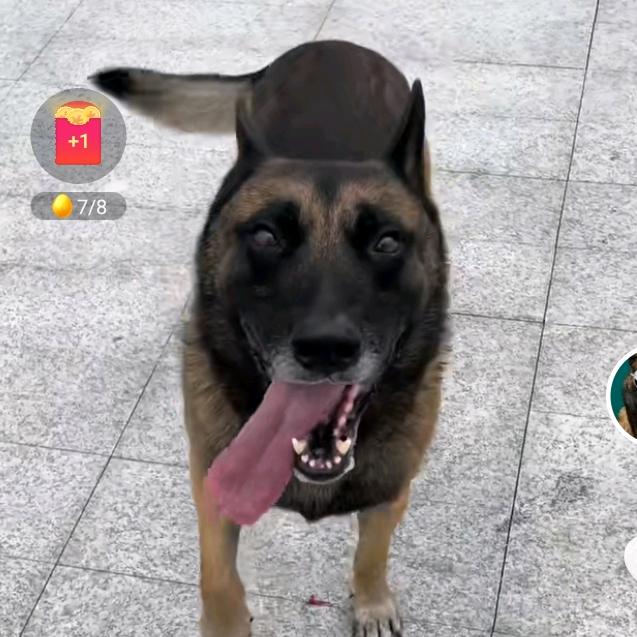 孤单的人