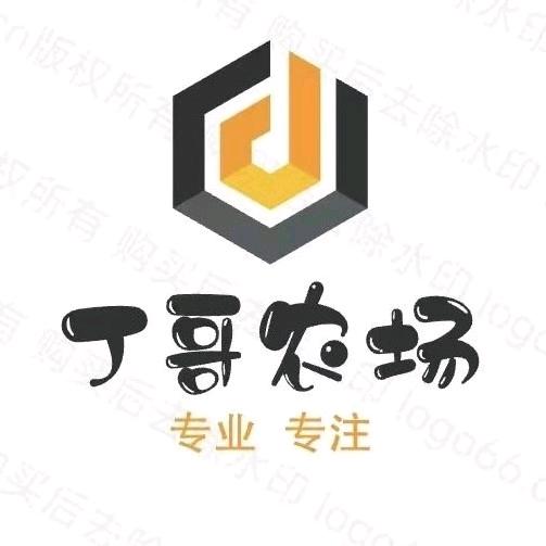 丁哥户外
