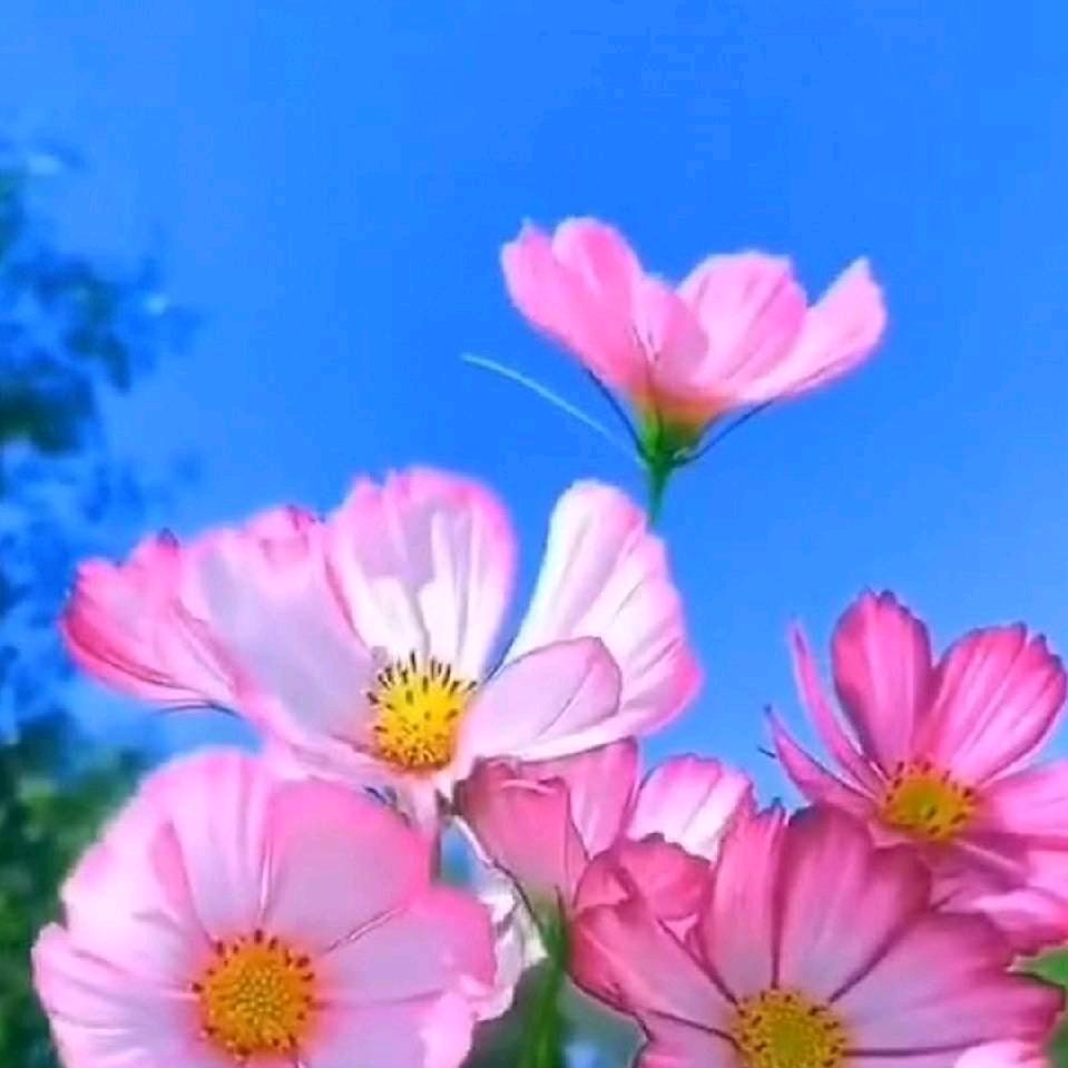 五楼姐