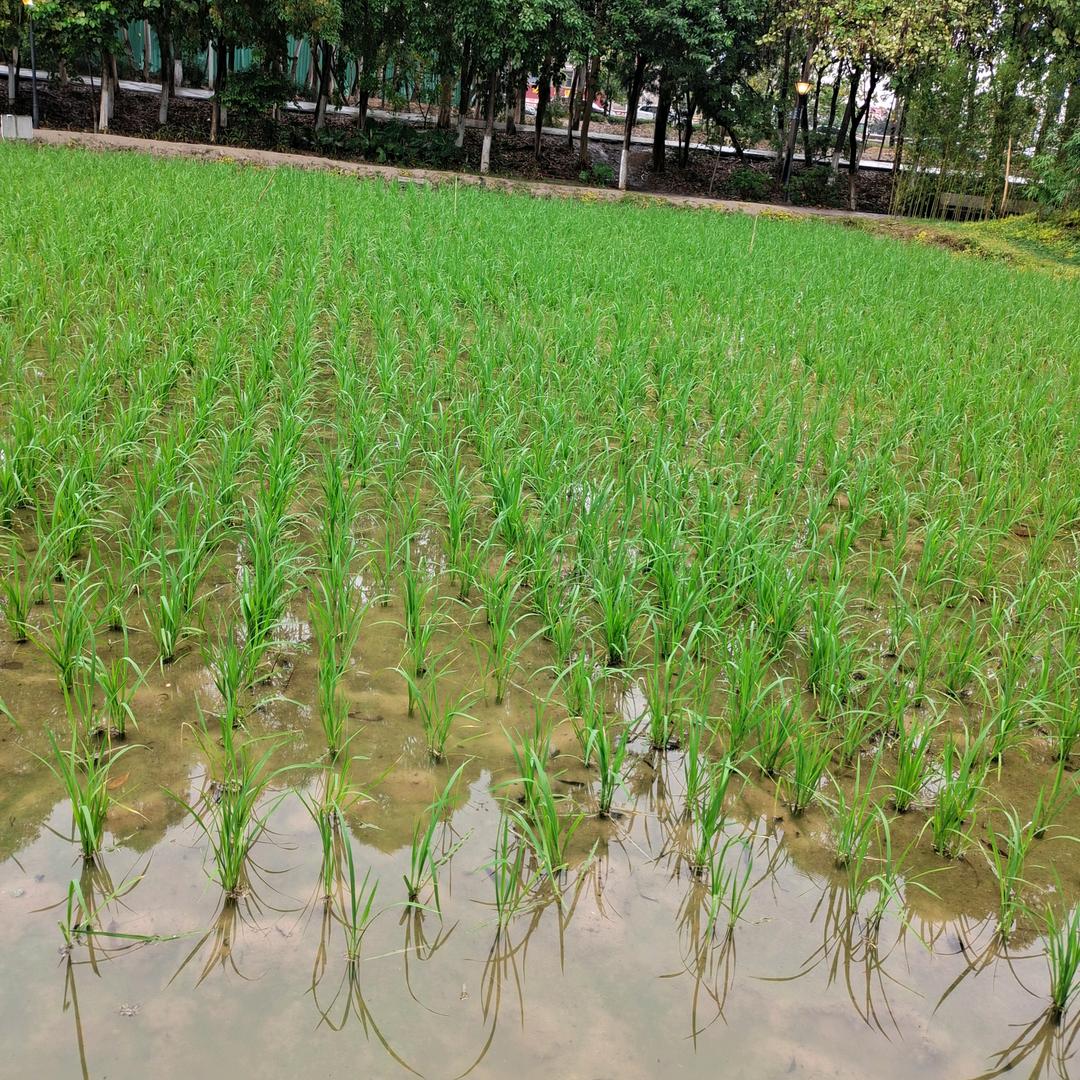 自律会变得怎样