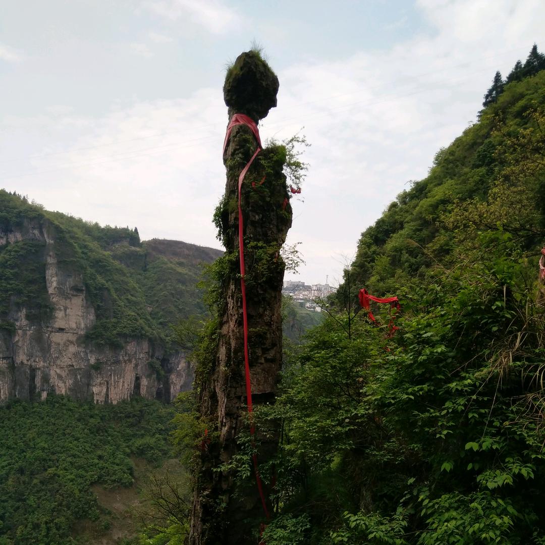 山野村夫