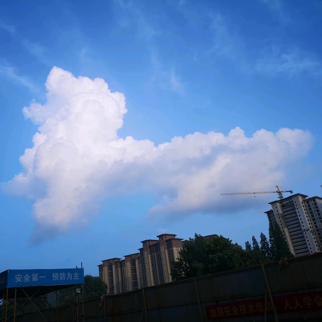 爱喝茶的老王头