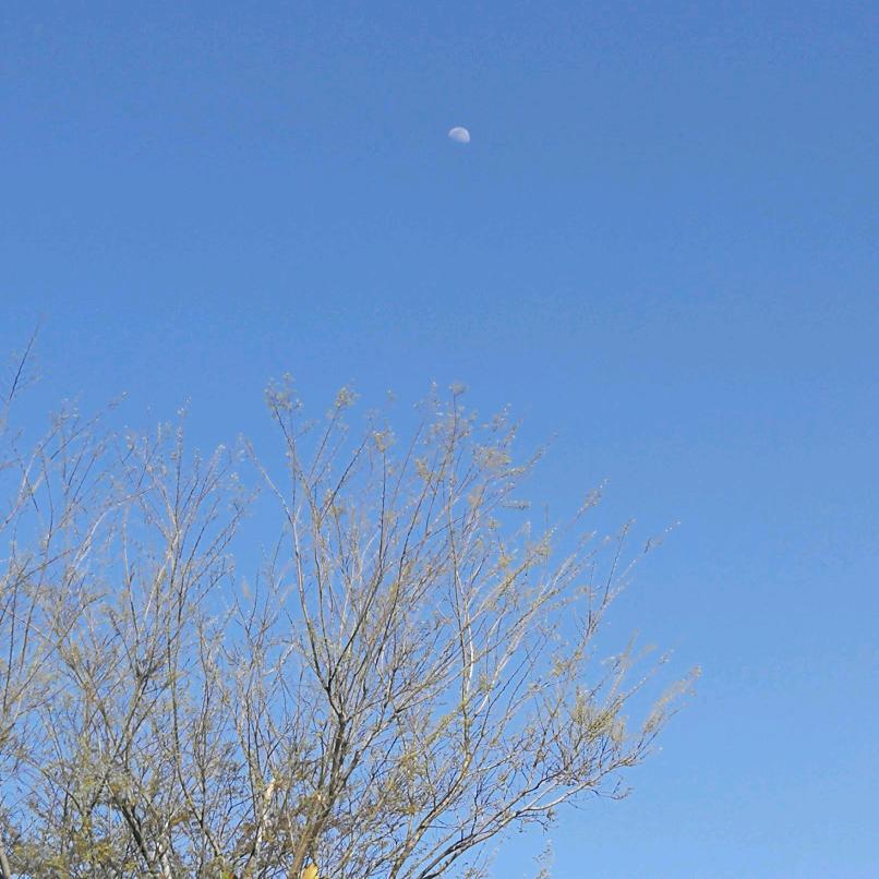 大淏一家人