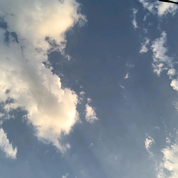 乐