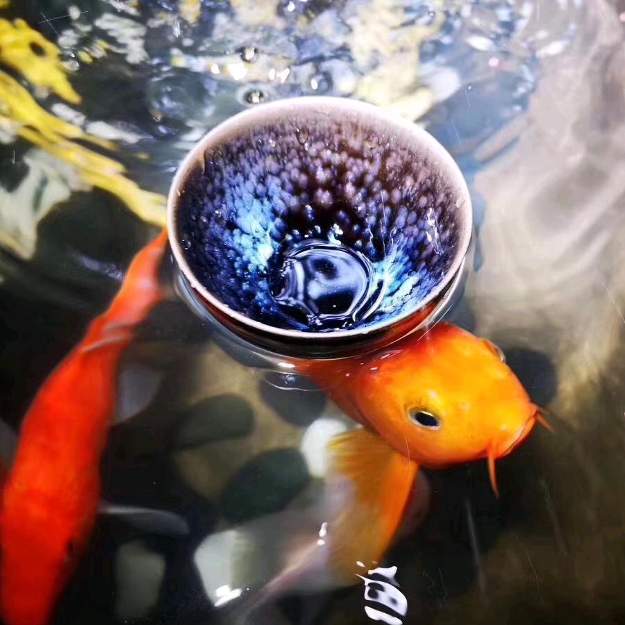中发白