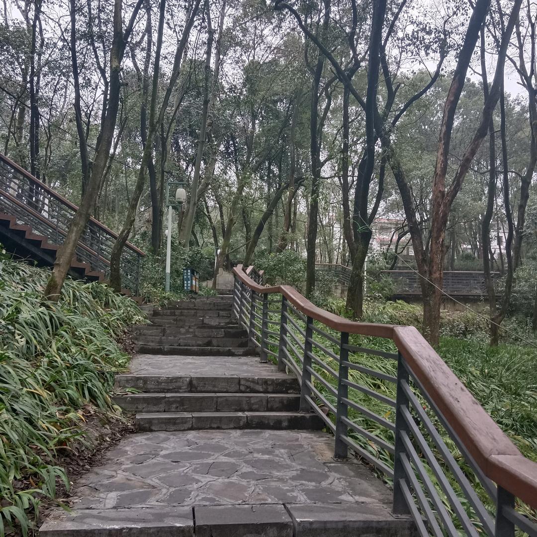 且行且珍惜