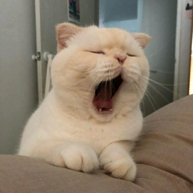 阿海