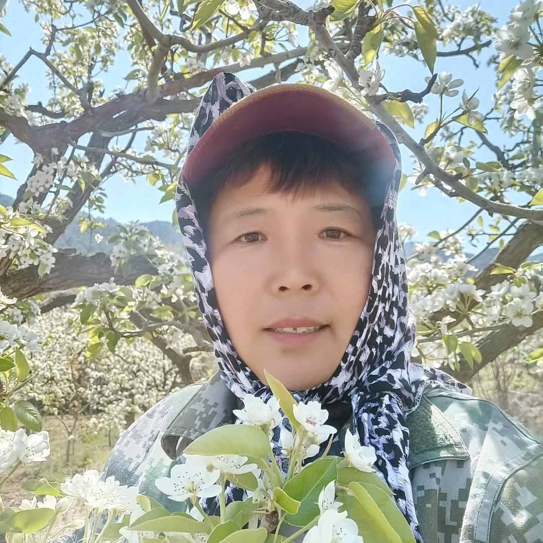 山村英姐（古法养发护肤）