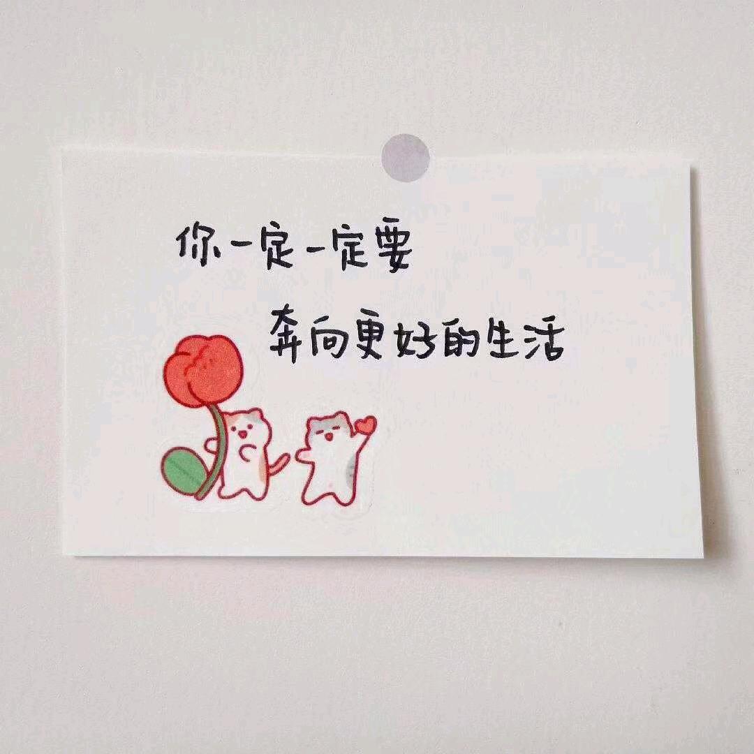 流浪的小肥狗！
