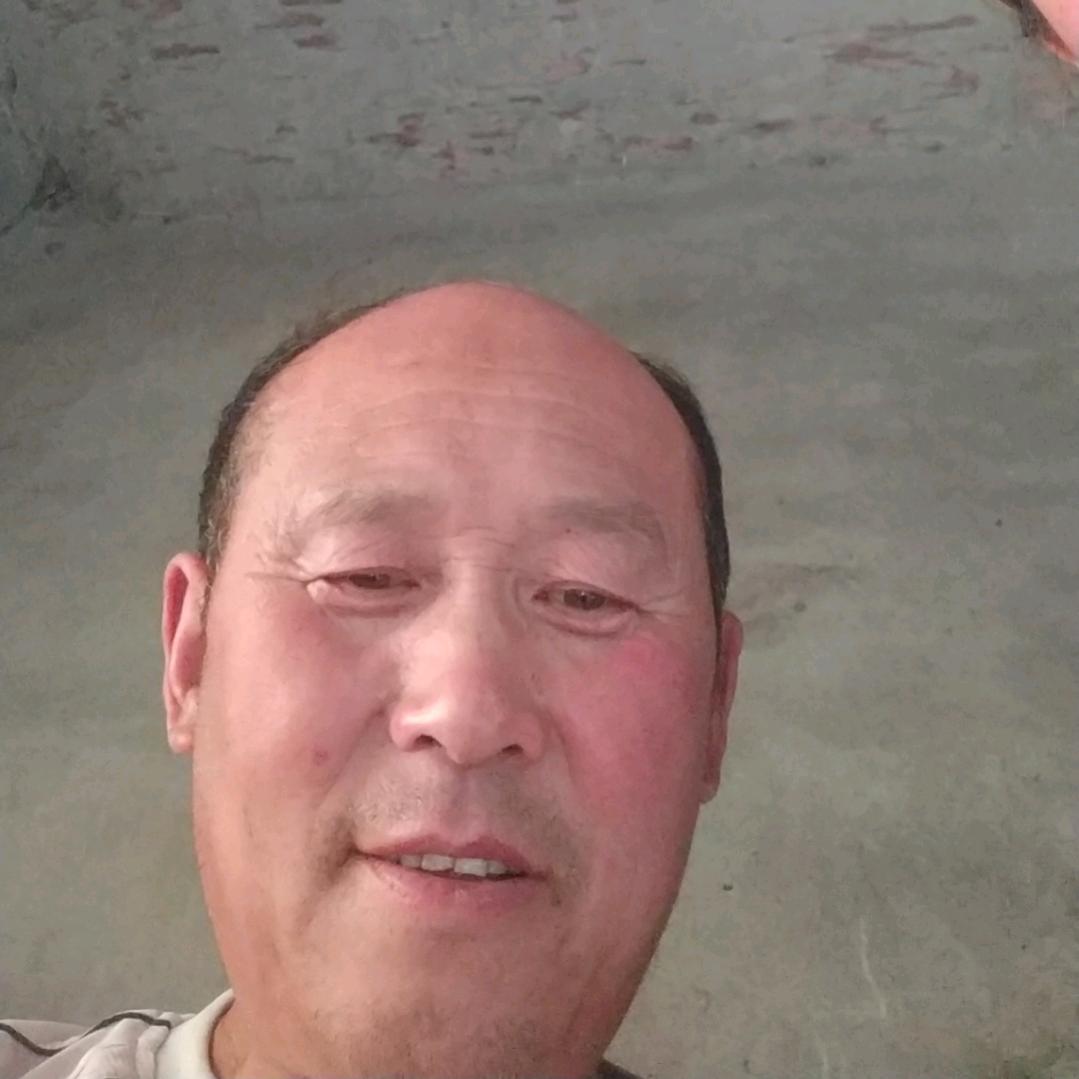 赛虎
