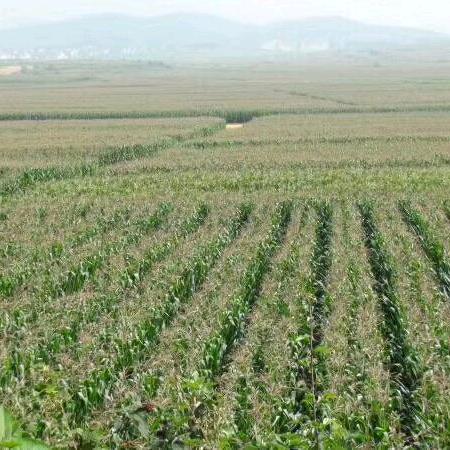 泰和县旺兴农牧有限公司