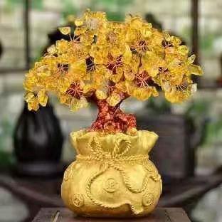 如意幸运儿