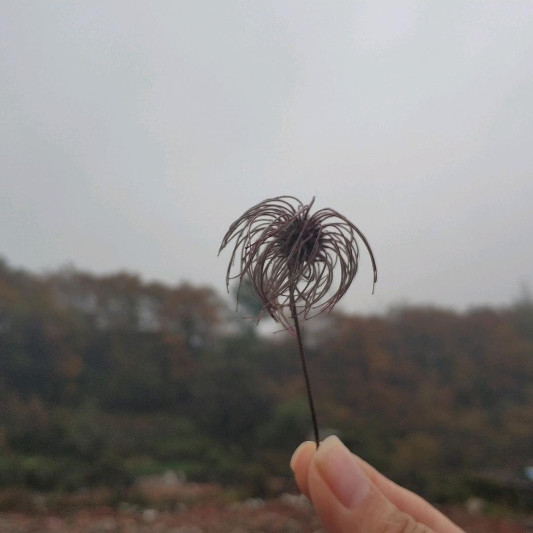 杰
