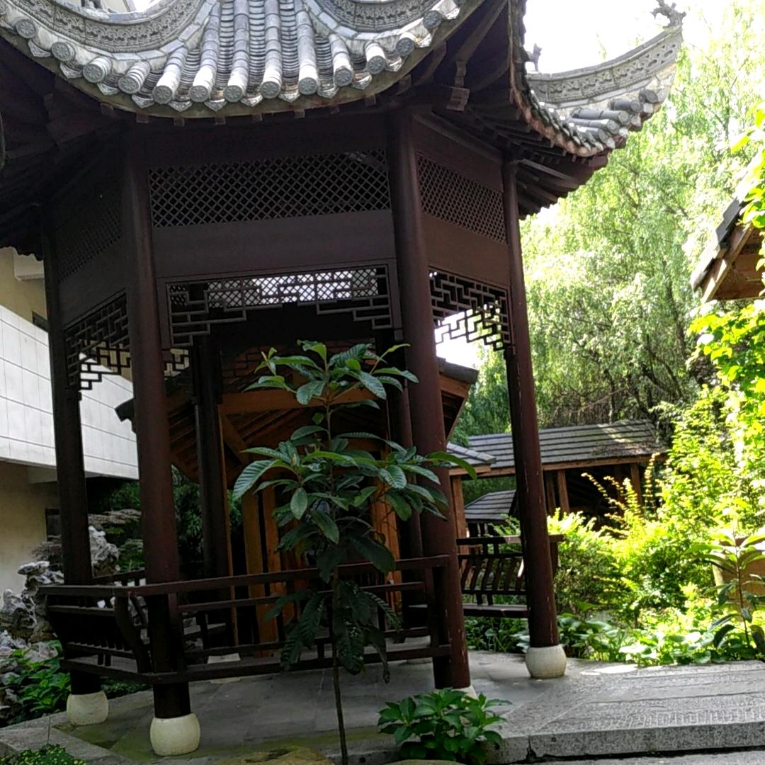 皮巧英