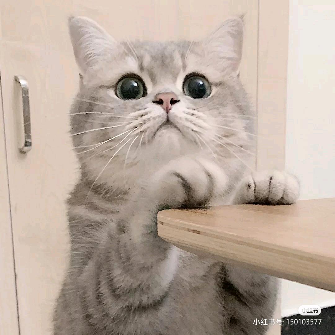 可口可呢