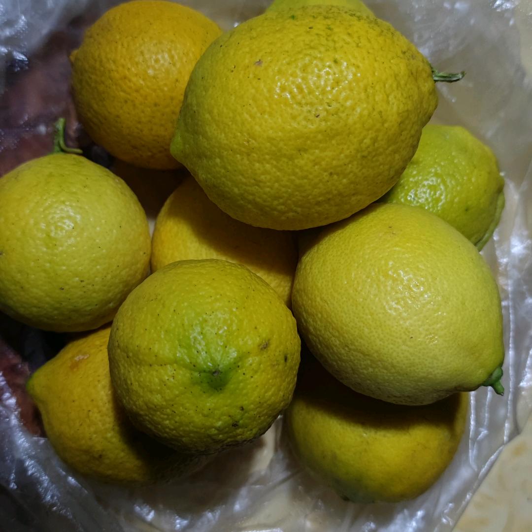 川M在新N