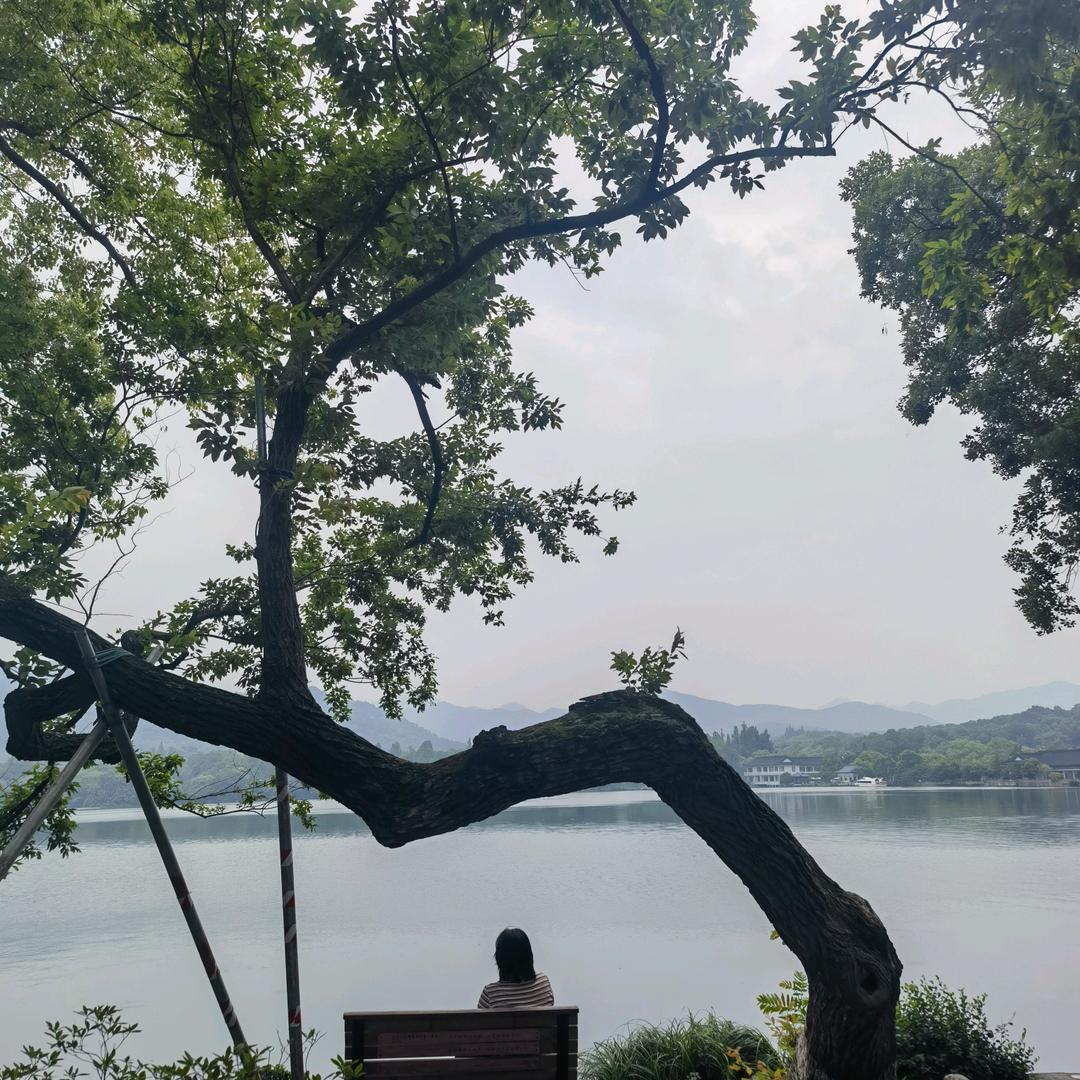 开心快乐：杨