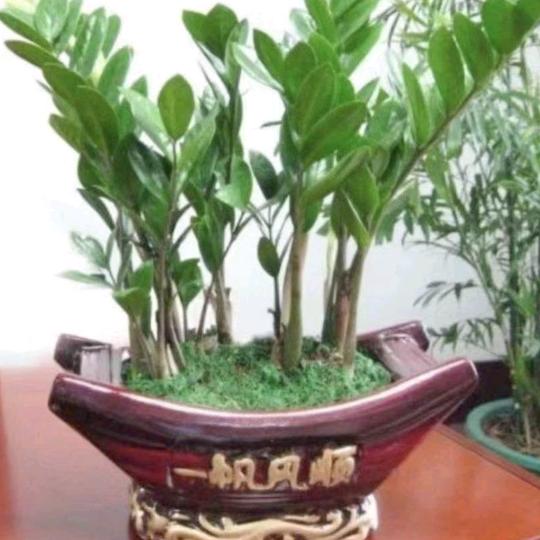 幸福堆堆