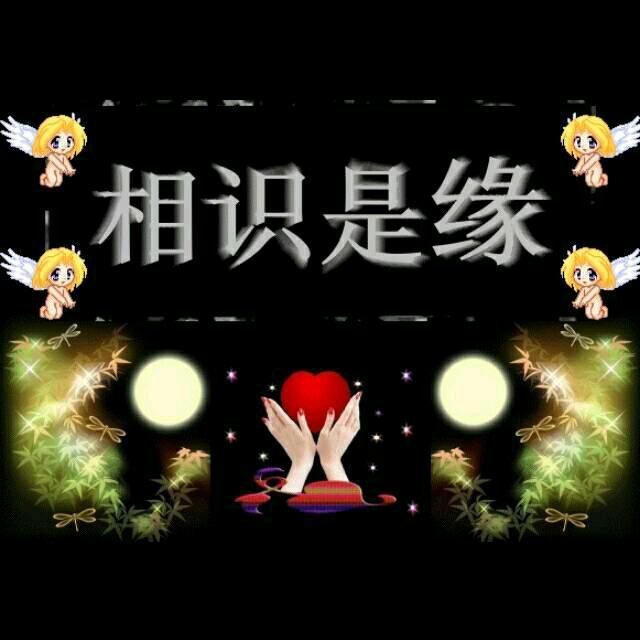 河南大姐夫