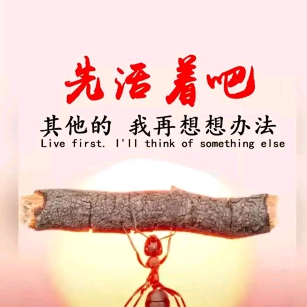 室内门安装 ☞得乌安 段