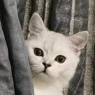 麻了麻了